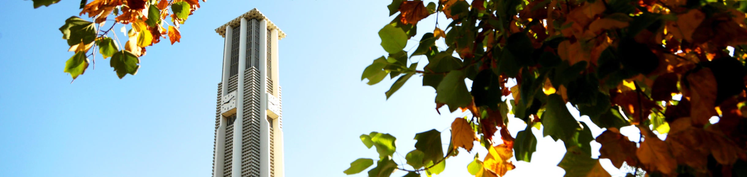 The top of the Bell Tower on the UC Riverside campus on a fall day with the leaves turning a bright orange color.